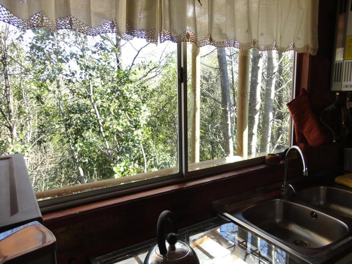 Cabanas Spa Bungalows Huarranchi Pucon Exterior photo