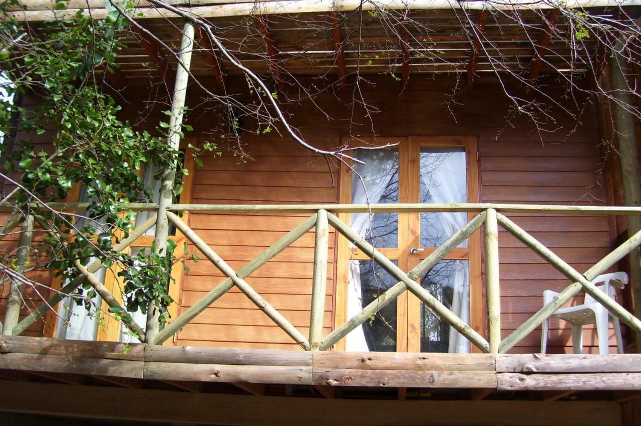Cabanas Spa Bungalows Huarranchi Pucon Room photo